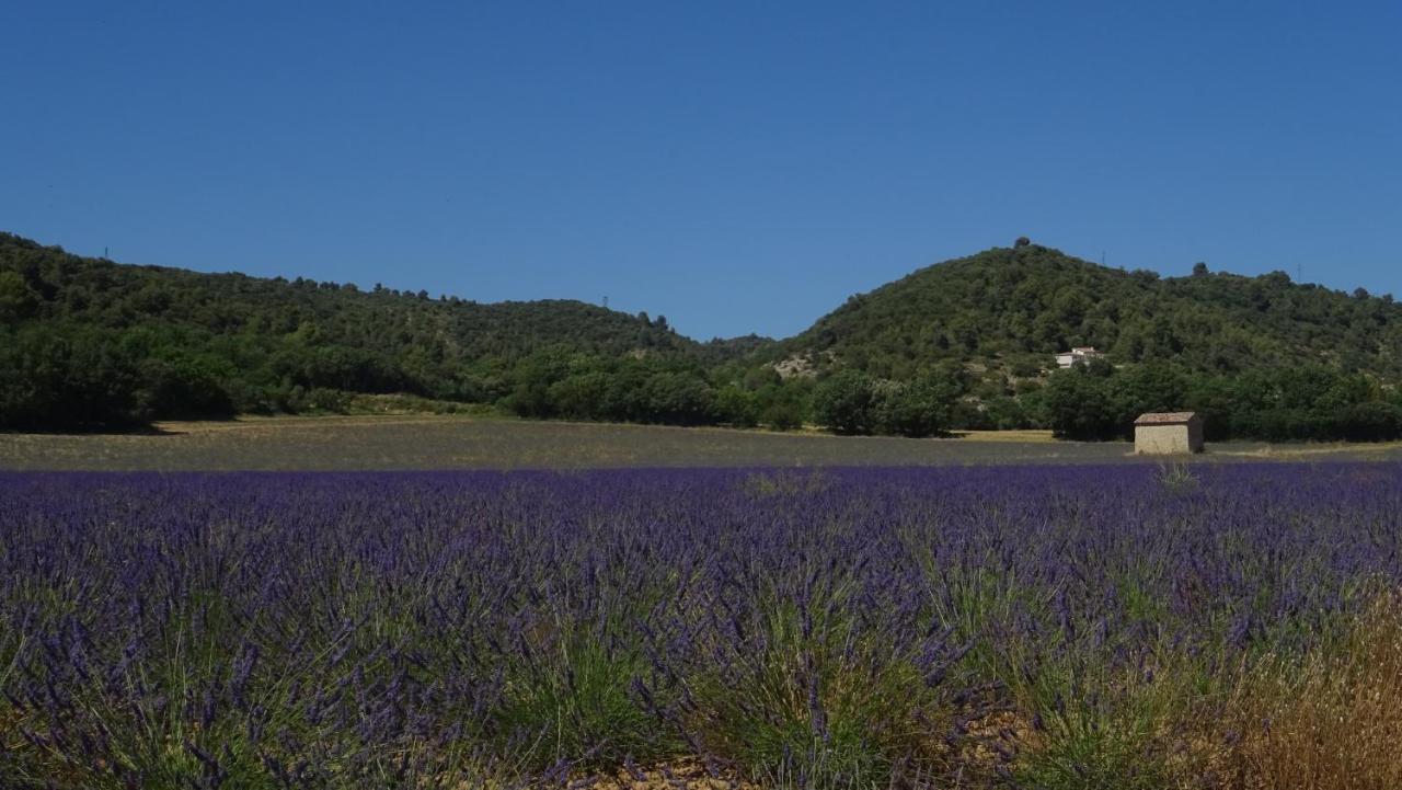 Studio Meublé Cures thermales avec vue Gréoux-les-Bains Esterno foto